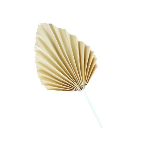 T-0583_Taart_Decoratie_Palmblad_Taarttopper_Speer_Papier_Goud_m.jpg