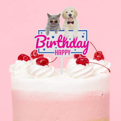 T-0720-Taart Decoratie Verjaardag Taarttopper Hond Kat